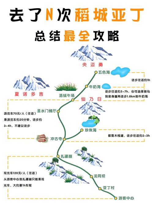 景区女游客高反去世,高原反应的女游客
