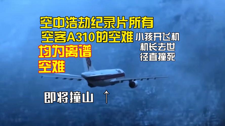 飞机坠毁242人遇难,飞机坠毁242人遇难视频
