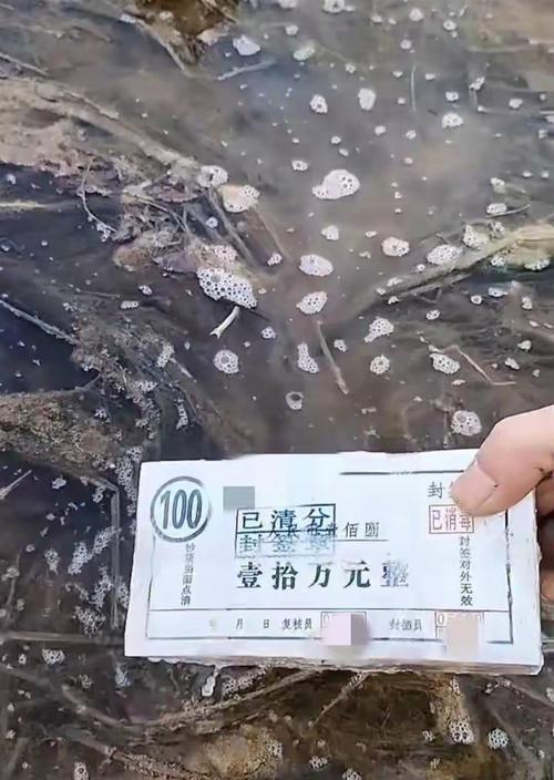 河道现大量成扎钞票,河道惊现大量现金